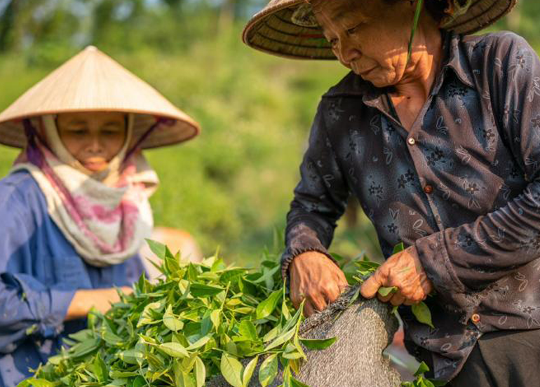 Delapan Alasan Pentingnya Petani Tergabung Dalam Koperasi 
